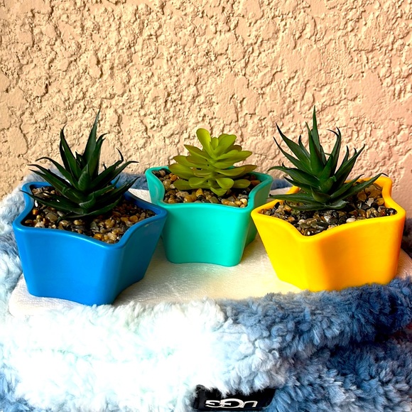 Accents 515 Set Of 3 Artificial Succulents Poshmark